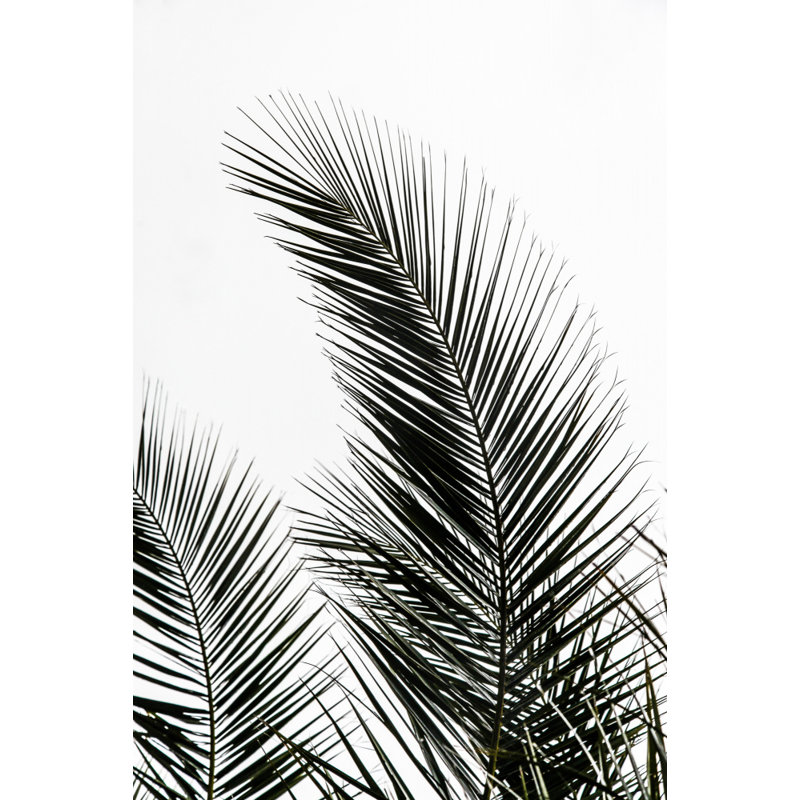 Wrapped Canvas Print, 50.8 cm H x 76.2 cm W
