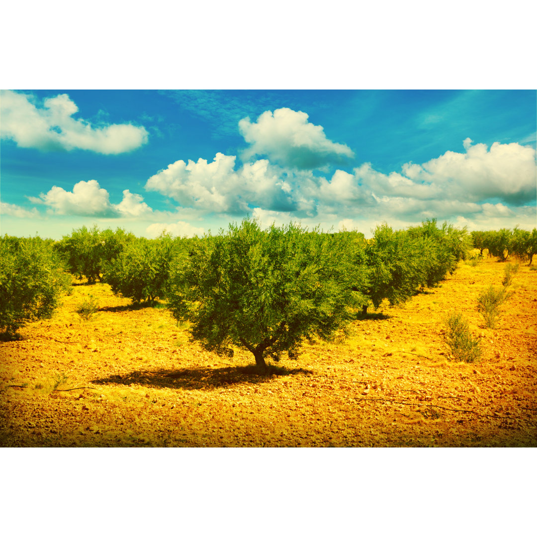 Landscape by Adisa - Wrapped Canvas Print