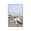 Crescent Beach Shells XIV by Alan Blaustein - Floater Frame Print on Canvas-948603309-948603313