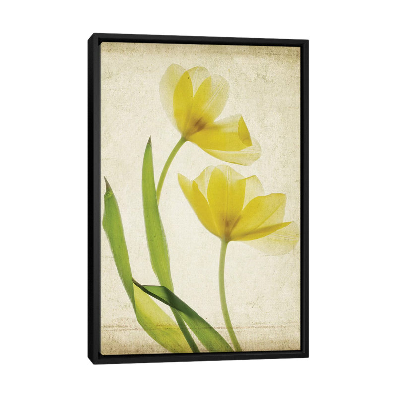 «Parchment Flowers IV», impression sur toile, H 26 po x l 18 po x P 1,5 po, Toile avec cadre flottant noir, Pas de tapis