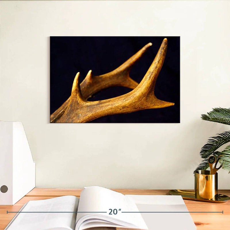 Bois de cerf Brampt, H 8 po x l 12 po