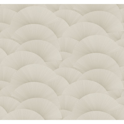 Papier peint coquille du matin