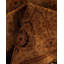 Fine Vibrance One-of-a-Kind 4' 8" x 4' 10" Hand Knotted Area Rug