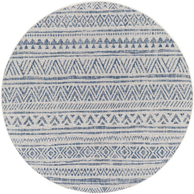 Hongming Indoor/Outdoor Navy/White Rug