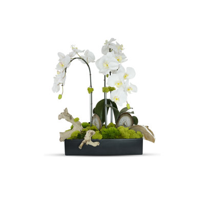 Agate Slabs Orchids In Planter