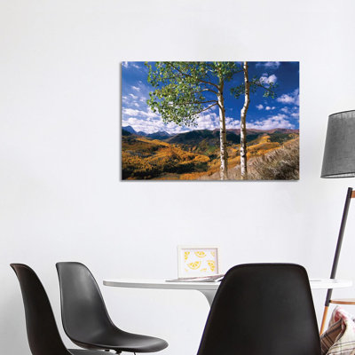 Quaking Aspen Trees in Fall-Colors on Elk Mountains, Capitol Creek Trailhead, Colorado 1 Piece Wrapped Canvas Wall Art
