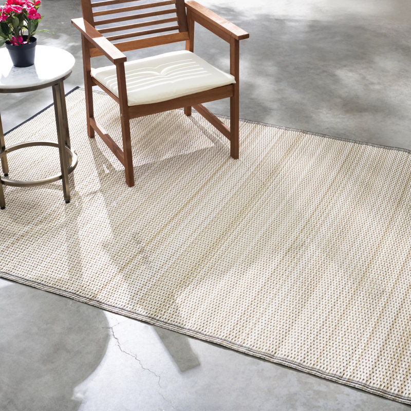 Outdoor Rug Plastic Straw Rug Waterproof Patio Amyree, Rectangle 3' x 5', Cancun Shadow - Sand & Black