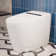 Deervalley Smart Bidet Toilet With LED Display，Auto Open & Close, Heated Seat, Warm Water, Remote Control, Premium