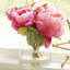 Fresh Cut Peony Floral Arrangements in Jar-549115935