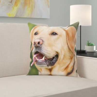 Coussin pour chien