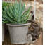 Boan Animals UV Resistant Stone Garden Statue