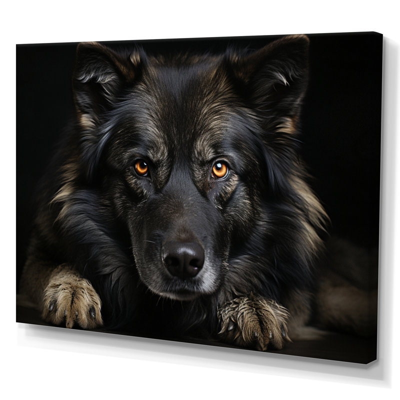 Portrait de chien I - reproduction sur toile, H 16 po x l 32 po x P 1 po, Toile tendue