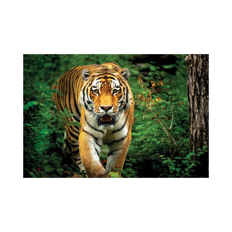 Tiger Walking Through The Forest by Nik Rave - Wrapped Canvas Gallery-Wrapped Canvas Giclée, 20.32 cm H x 30.48 cm W