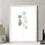 « mou eucalyptus branch i » par paul cezanne-cadre photo, reproduction d’art-693925080-693925085-693953563