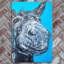 SAM FENNER Traditional Wall Decor