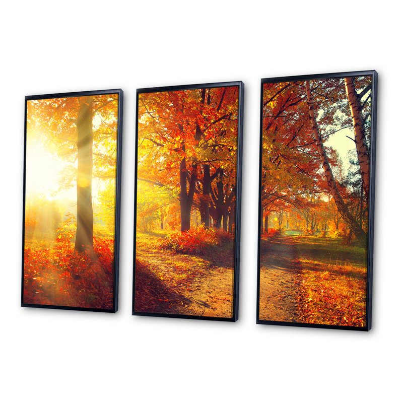 Autumnal Trees in Sunrays - 3 pièces, reproduction sur toile, 32" H x 48" W