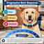 Across small, medium, and large dog sizes, this rechargeable automatic no-bark collar relies on bark detection to reduce false triggers and offers 3 anti-bark modes, 8 sensitivity levels, and IP67 waterproofing.