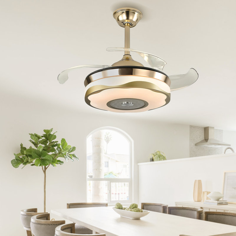 Reinu 38'' Ceiling Fan with LED Lights