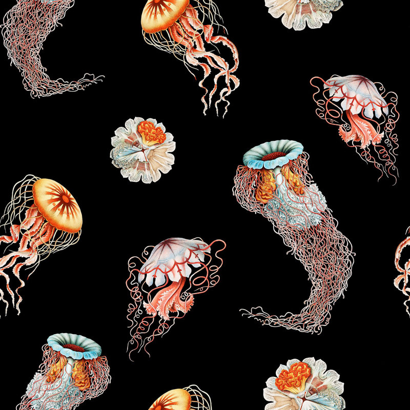 Medusa, Non-Woven, Deep Sea