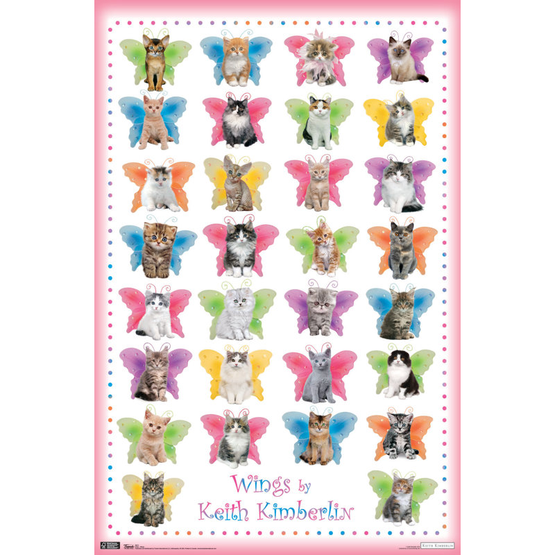Impression sur papier chat-ailes