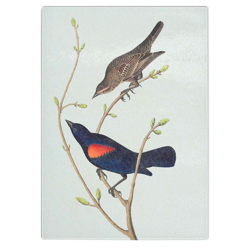 Tempered Glass Prairie Starling Bird by John James Audubon Chopping Board, 28.5 cm W x 39 cm L