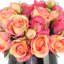 Roses Arranged in a Glass Vase