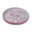 Jardin Tray-1992475892