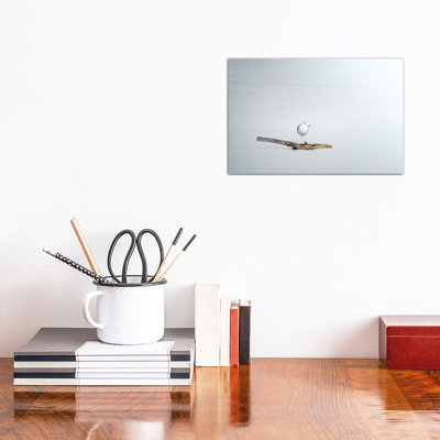 Seagull Sitting On A Log by Nik Rave - Wrapped Canvas Print