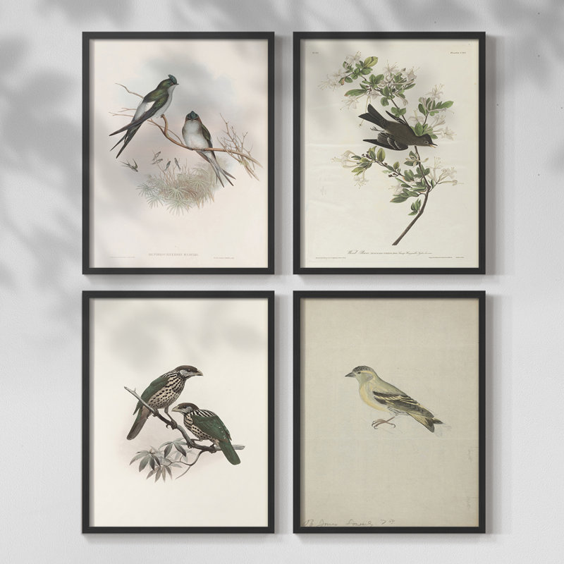 Vintage Animal Print X  Framed Print - Set of 4, Black, 14" H x 44" W