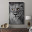 Portrait de lionne - galerie Cavas-108828361