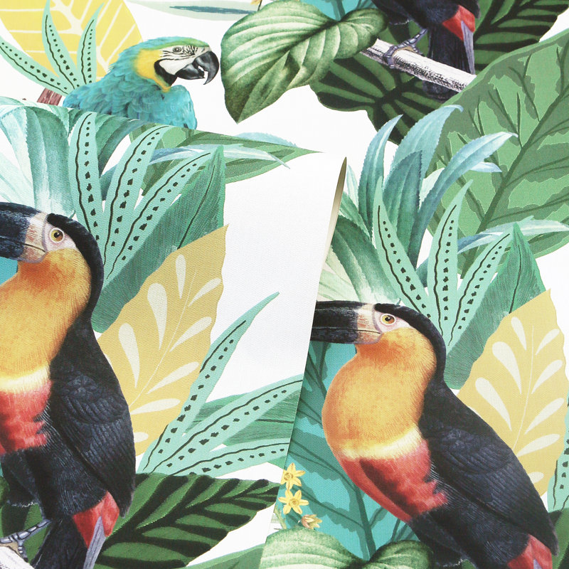 Trudie Toucan Macaw Wallpaper