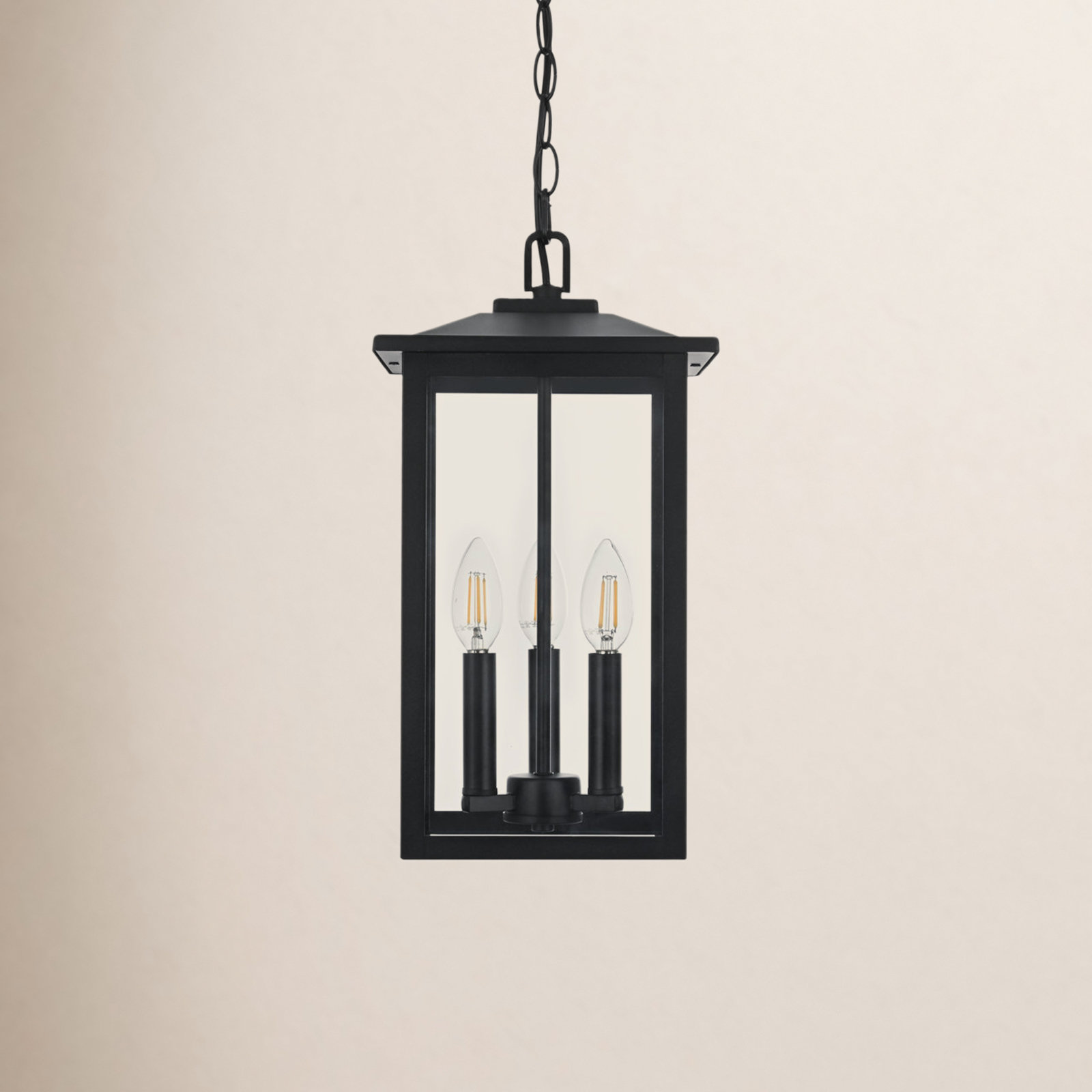 Outdoor Pendant Light