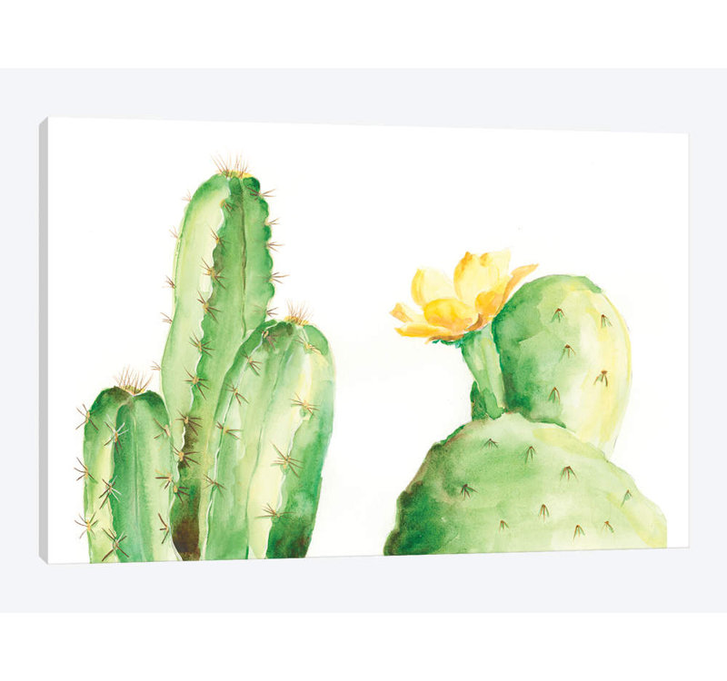 « spiny plantes de désert ii », impression sur toile, H 8 po x l 12 po x P 0,75 po, Toile tendue, Pas de tapis