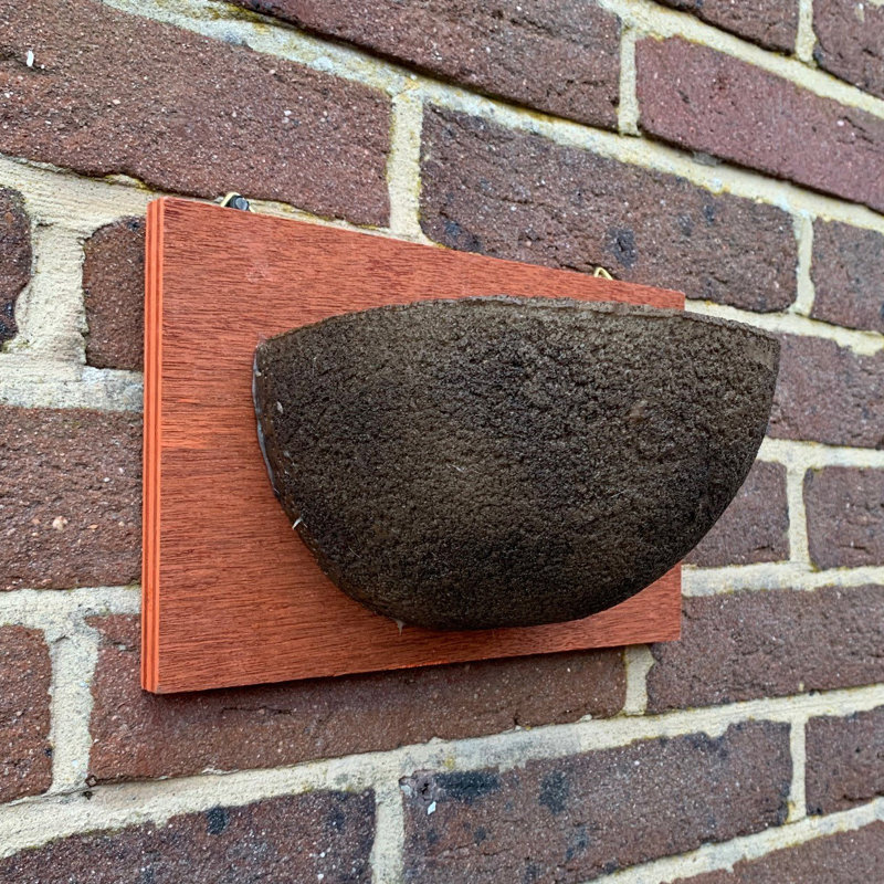 Swallow Mounted Bird House