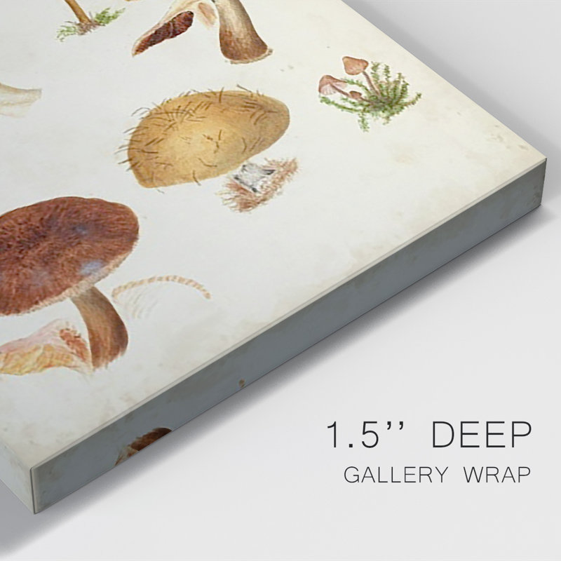 Peinture sur toile Mushroom Species II, H 12 po x l 8 po x P 1 po