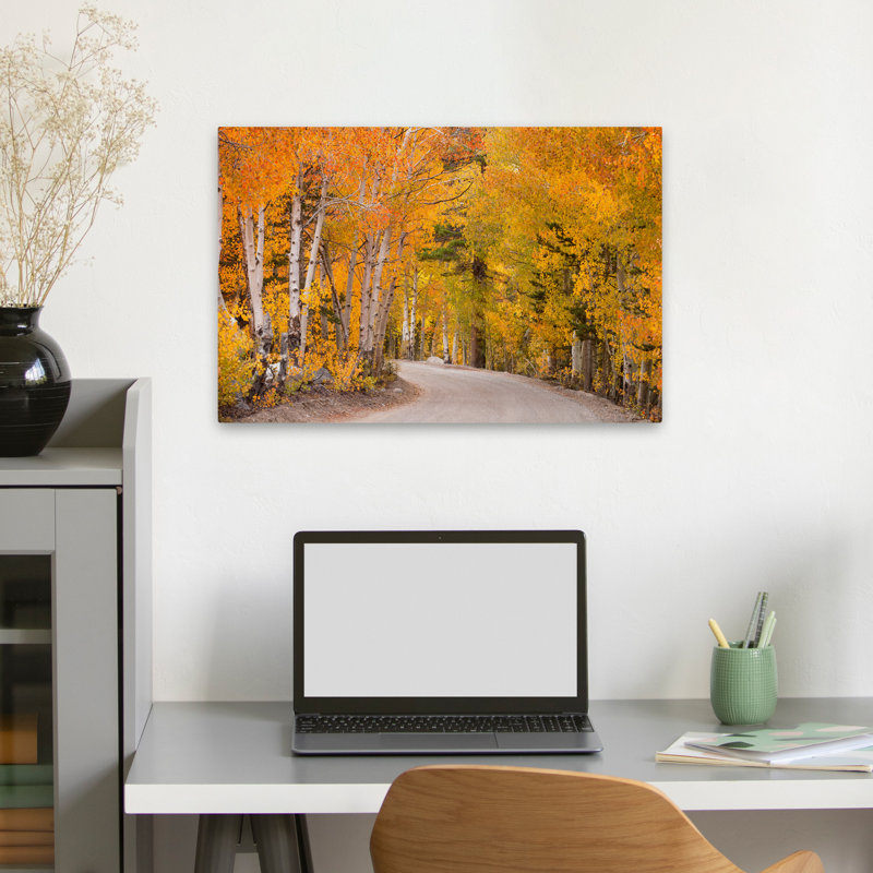 The Golden Road - Paysages, photographie, arbres d'automne, art, H 24 po x l 16 po