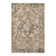 Mosely Oriental Indoor Rug