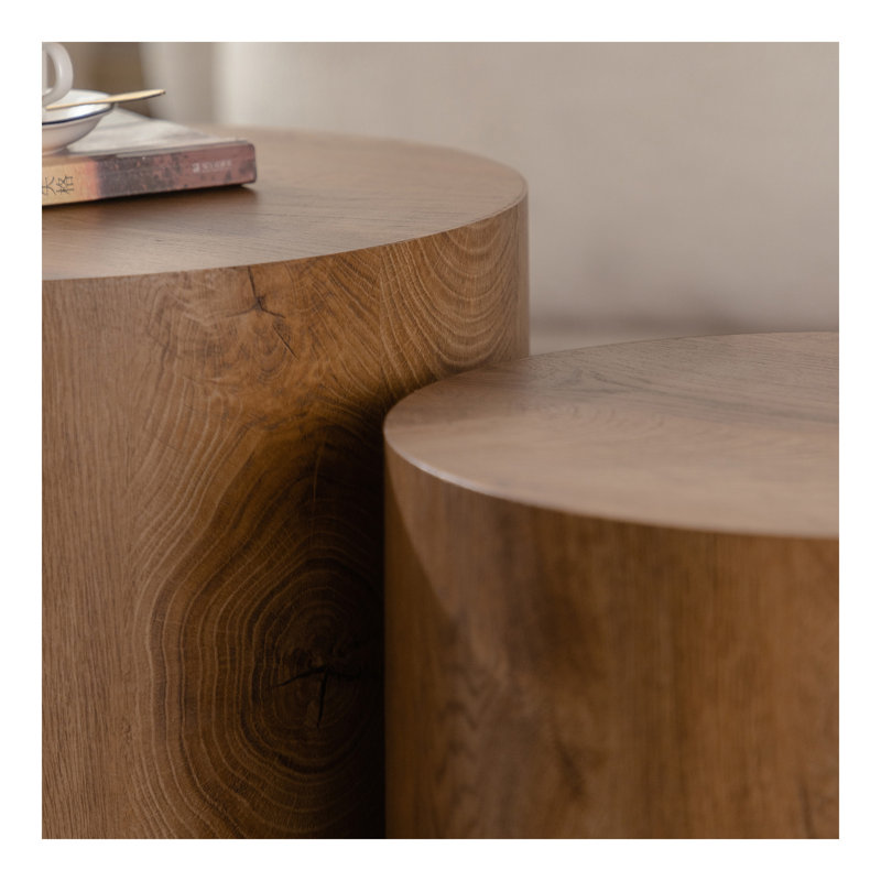 Ensemble de 2 tables basses gigognes rondes en bois pour table ronde et moderne, Brun