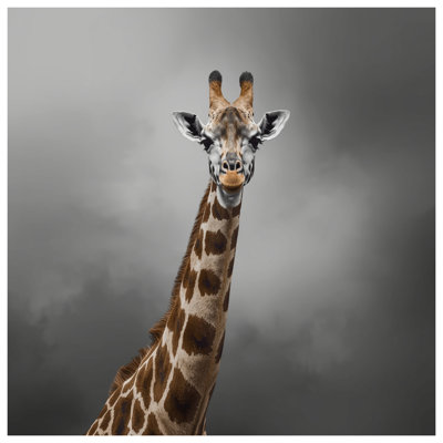 Tapis de bain girafe à long cou