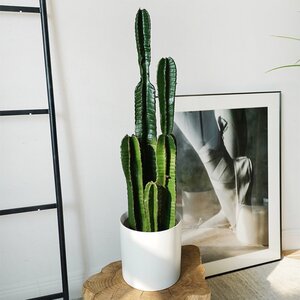 Union Rustic 33.5'' Faux Cactus Plant | Wayfair
