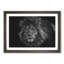 Lion with Piercing Eyes - Picture Frame Graphic Art Print-56859892-56859893