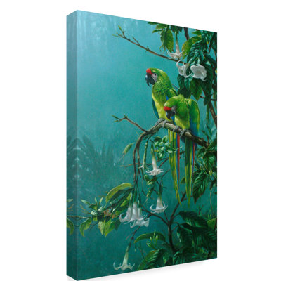 " Buffons Macaws " by Michael Jackson