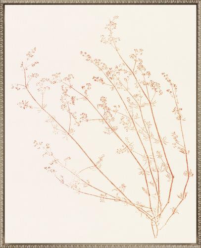 Floral Trace VI Canvas Wall Art