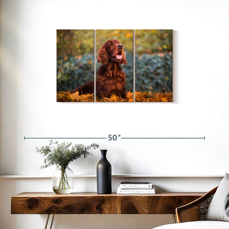 Setter irlandais en automne, H 20 po x l 33 po