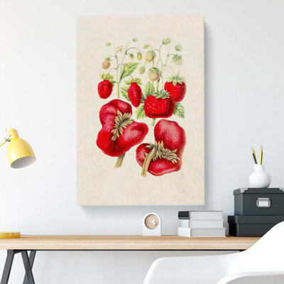 Illustration of Strawberry Plants - Wrapped Canvas
