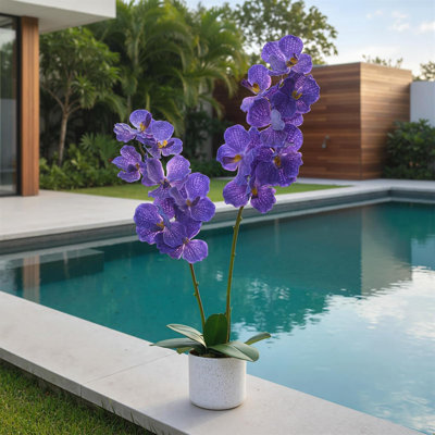 Ensemble de 1/2 fleurs d'orchidées artificielles en pot, véritable orchidée artificielle pour la décoration intérieure