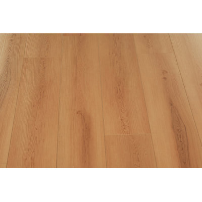 72 Hours 12mm Water Proof Laminate Flooring, The December Collection, 4 colors