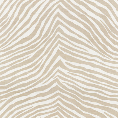 Iconic Zebra Fabric