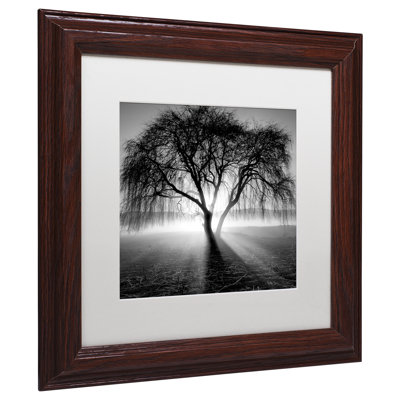 " Lightning Tree I " by Moises Levy