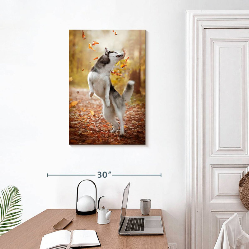 Brampt Autumn Husky Playing, 30" H x 20" W